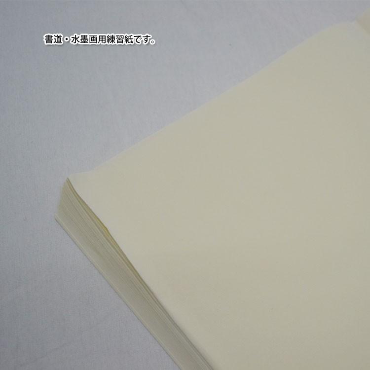 水墨画 / 書道 墨彩画 習字 日本画 水墨画用 書道用 写経用 紙 高級
