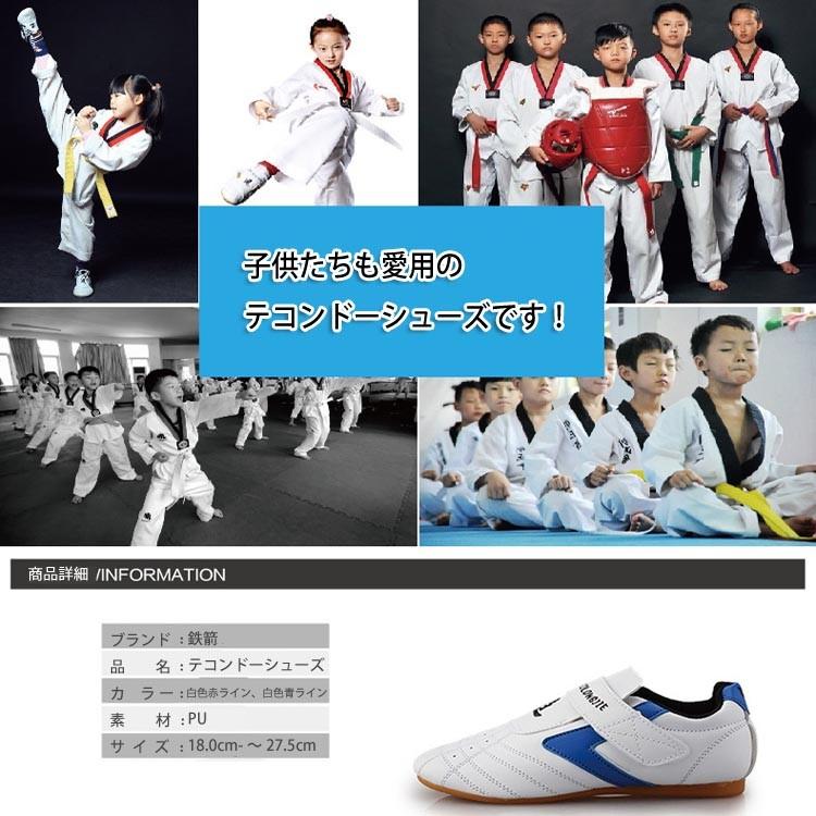 ボクシング / 道靴 シューズ スポーツ トレーニング ストレス解消