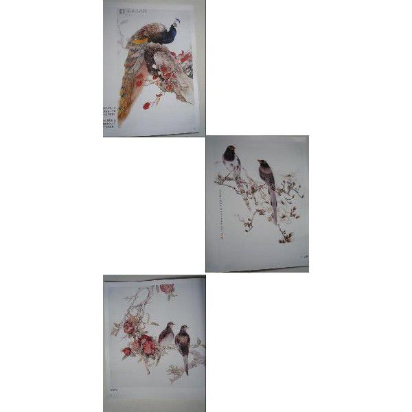 水墨画 / 水墨画集 中国画集 墨彩画 絵手紙 日本画 [工筆画技法集 孔雀