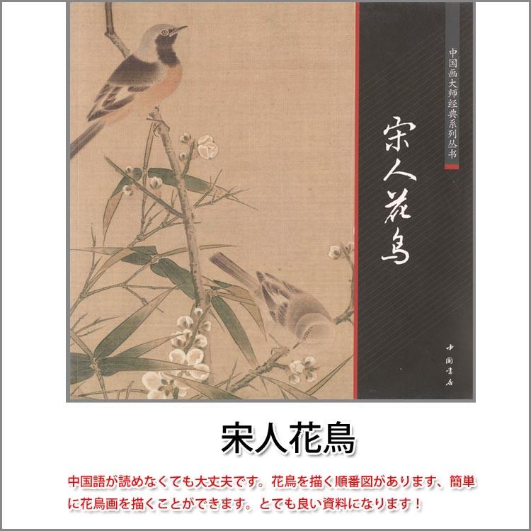 水墨画 / 水墨画集 中国画集 墨彩画 絵手紙 日本画 [宋人花鳥