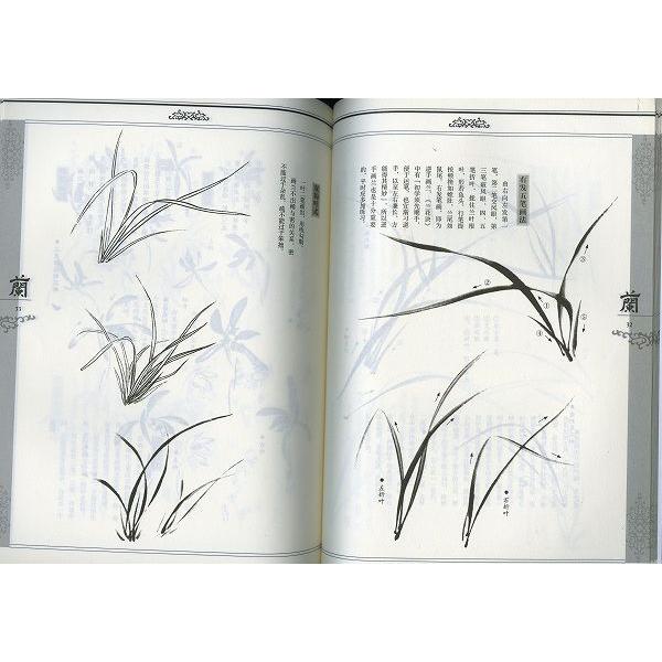水墨画 / 水墨画集 中国画集 墨彩画 絵手紙 日本画 [四君子 画法