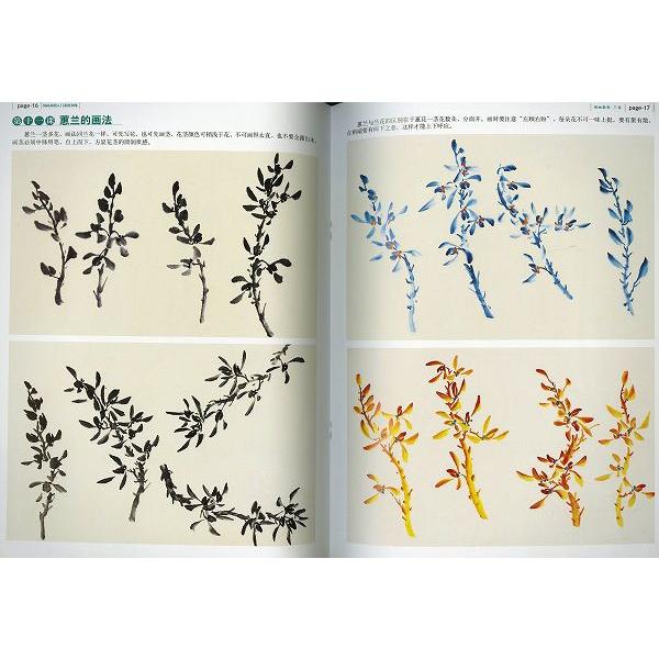 水墨画 / 水墨画集 中国画集 墨彩画 絵手紙 日本画 [参考本 蘭花 国画