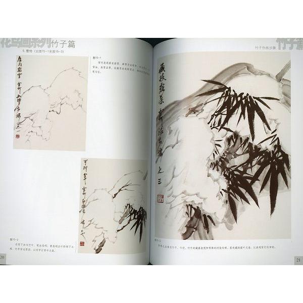 水墨画 / 水墨画集 中国画集 墨彩画 絵手紙 日本画 [参考本 草花 国画