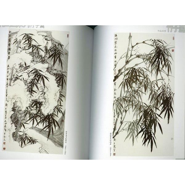 水墨画 / 水墨画集 中国画集 墨彩画 絵手紙 日本画 [参考本 草花