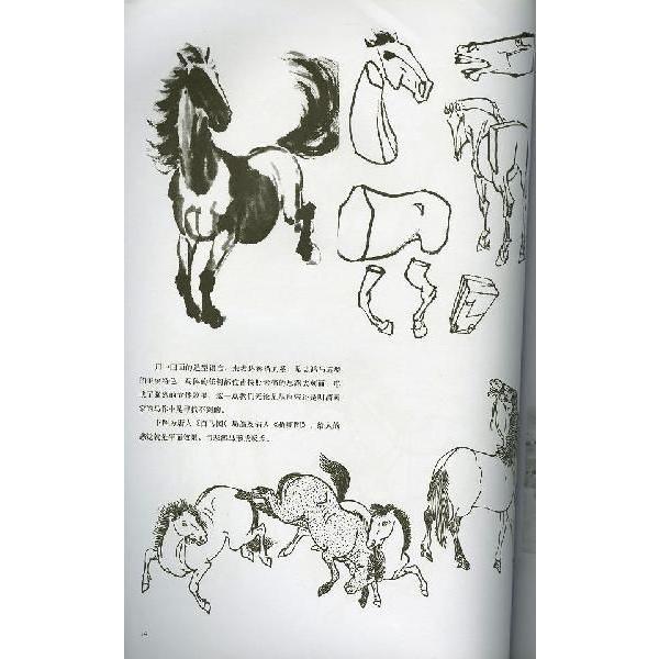 水墨画 / 水墨画集 中国画集 墨彩画 絵手紙 日本画 参考本 [馬技法