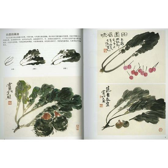 水墨画 / 水墨画集 中国画集 墨彩画 絵手紙 日本画 参考本 蔬菜と果物