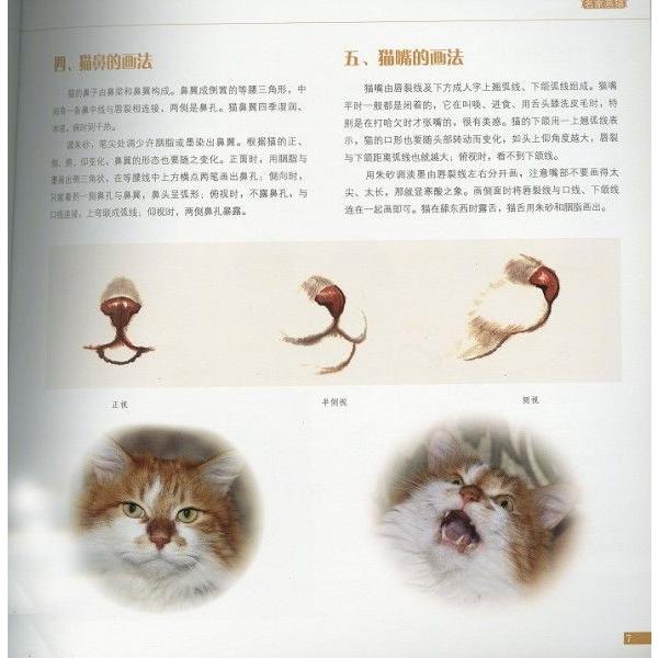 水墨画 / 水墨画集 中国画集 墨彩画 絵手紙 日本画 [名家画猫] : 黄河