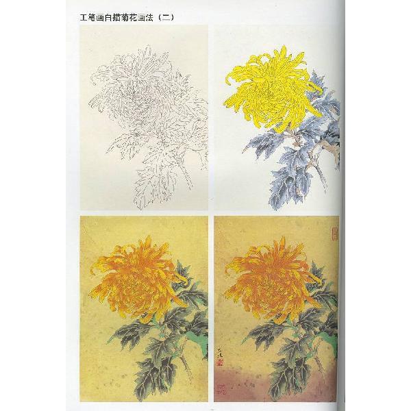 水墨画 / 水墨画集 中国画集 墨彩画 絵手紙 日本画 [白描菊花画譜