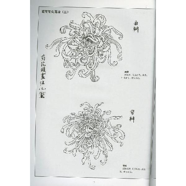 水墨画 / 水墨画集 中国画集 墨彩画 絵手紙 日本画 [白描菊花画譜