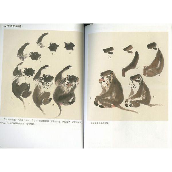 水墨画 / 水墨画集 中国画集 墨彩画 絵手紙 日本画 参考本画猿面譜