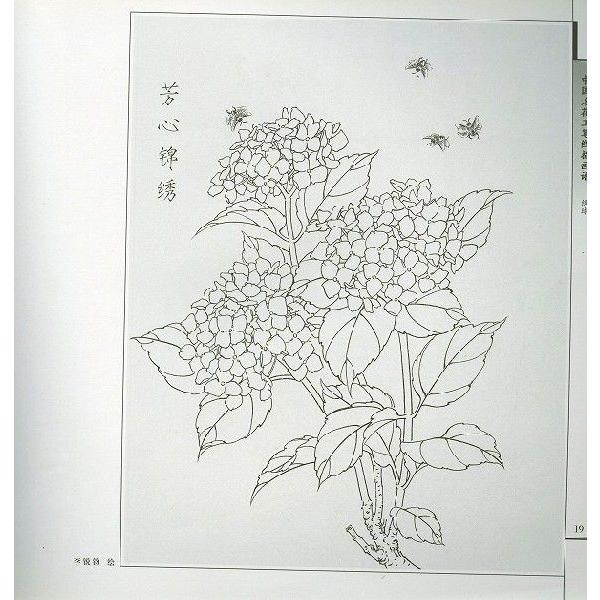 水墨画 / 水墨画集 中国画集 墨彩画 絵手紙 日本画 / [中国名花工筆浅