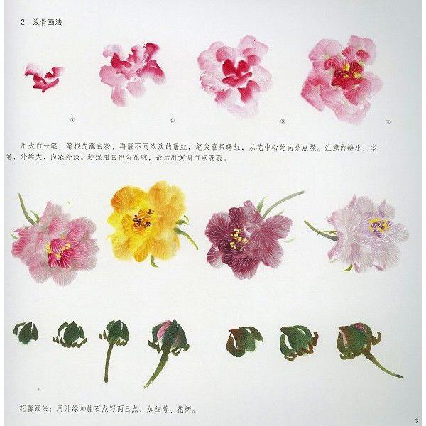 水墨画 / 水墨画集 中国画集 墨彩画 絵手紙 日本画 / [中国画技法 芙蓉