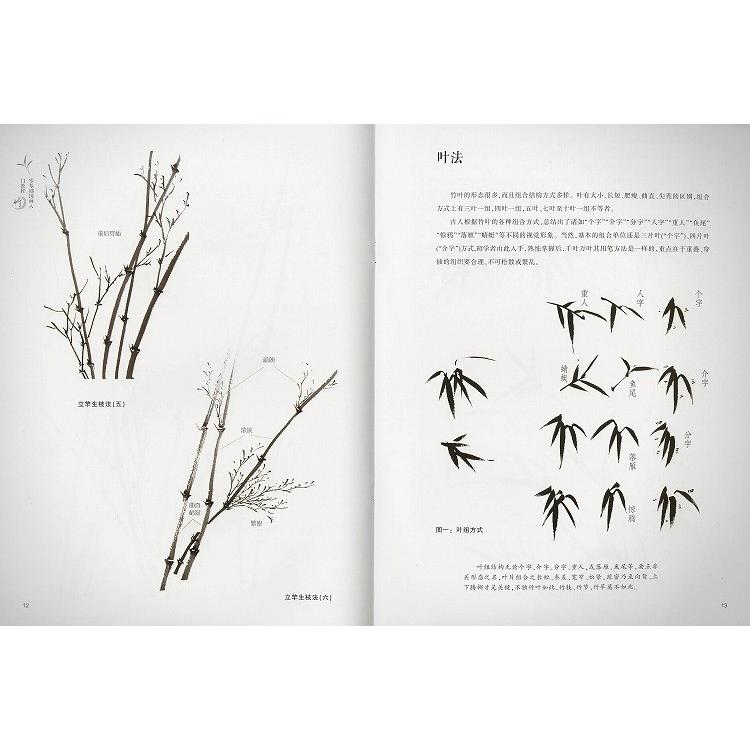 水墨画 / 水墨画集 中国画集 墨彩画 絵手紙 日本画 山水 [国画入門教程