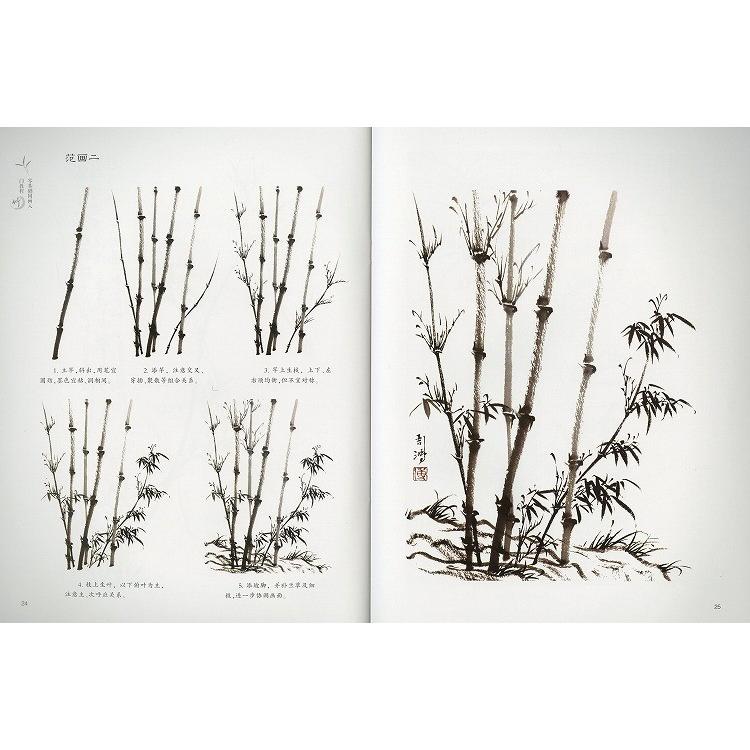 水墨画 / 水墨画集 中国画集 墨彩画 絵手紙 日本画 山水 [国画入門教程