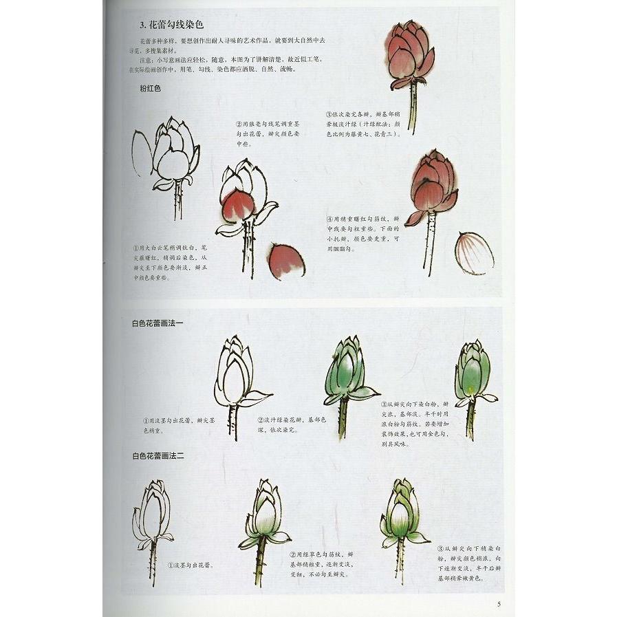 水墨画 水墨画集 中国画集 墨彩画 絵手紙 日本画 美術画集 / [蓮 水墨画 水墨画集 中国画集 墨彩画 絵手紙 日本画 美術画集 / [蓮