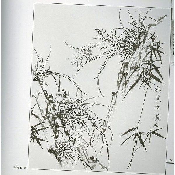 水墨画 / 水墨画集 中国画集 墨彩画 絵手紙 日本画 / [蘭花 中国名花