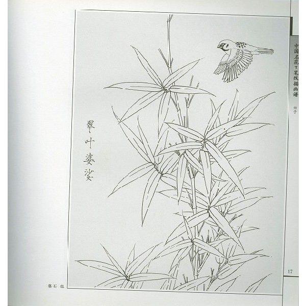 水墨画 / 水墨画集 中国画集 墨彩画 絵手紙 日本画 / [中国名花工筆浅