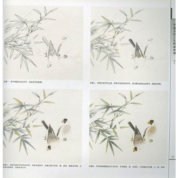 水墨画 / 水墨画集 中国画集 墨彩画 絵手紙 日本画 / [中国名花工筆浅