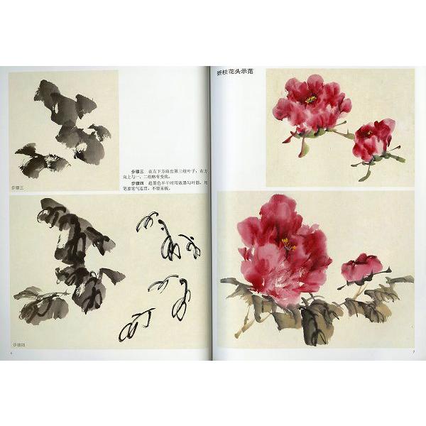 水墨画 / 水墨画集 中国画集 墨彩画 絵手紙 日本画 牡丹 月季