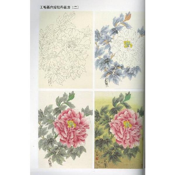 水墨画 / 水墨画集 中国画集 墨彩画 絵手紙 日本画 / 白描牡丹画譜