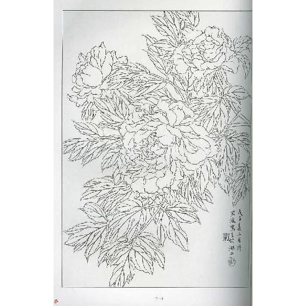 水墨画 / 水墨画集 中国画集 墨彩画 絵手紙 日本画 / 白描牡丹画譜