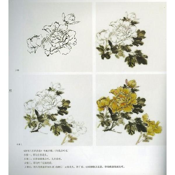 水墨画 / 水墨画集 中国画集 墨彩画 絵手紙 日本画 / 牡丹 李承毅