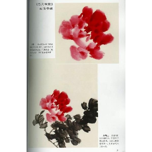水墨画 / 水墨画集 中国画集 墨彩画 絵手紙 日本画 名家画名花 彩墨