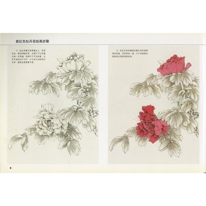 水墨画 / 水墨画集 中国画集 墨彩画 絵手紙 日本画 [工筆巻 牡丹作品