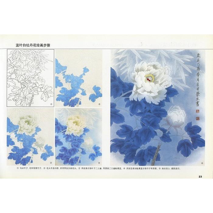 水墨画 / 水墨画集 中国画集 墨彩画 絵手紙 日本画 [工筆巻 牡丹作品