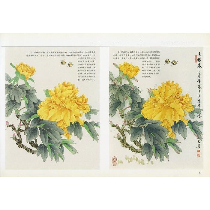 水墨画 / 水墨画集 中国画集 墨彩画 絵手紙 日本画 [工筆巻 牡丹作品
