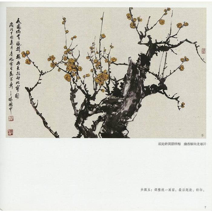 水墨画 / 水墨画集 中国画集 墨彩画 絵手紙 日本画 [毎日一画梅花