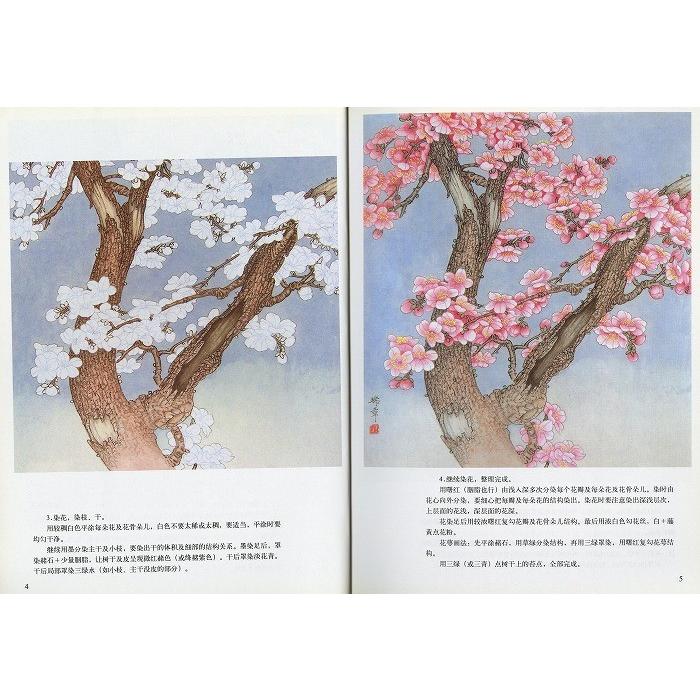 水墨画 / 水墨画集 中国画集 墨彩画 絵手紙 日本画 [工筆梅竹菊実用画