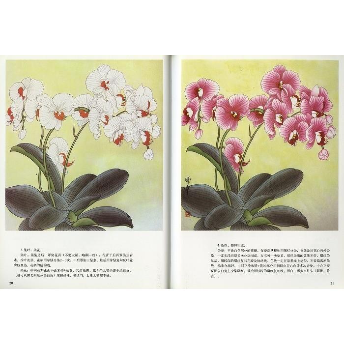水墨画 / 水墨画集 中国画集 墨彩画 絵手紙 日本画 [工筆梅竹菊実用画
