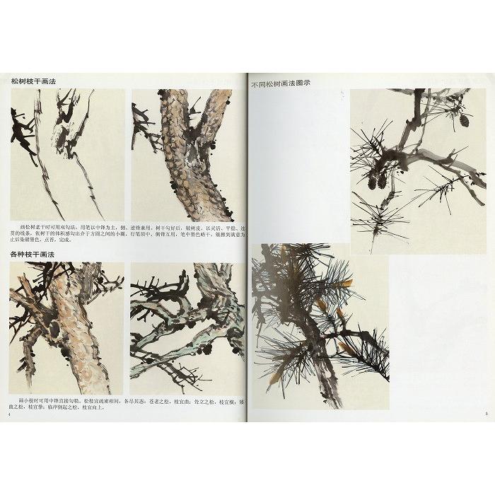 水墨画 / 水墨画集 中国画集 墨彩画 絵手紙 日本画 [彩墨花鳥画 水墨画 / 水墨画集 中国画集 墨彩画 絵手紙 日本画 [彩墨花鳥画