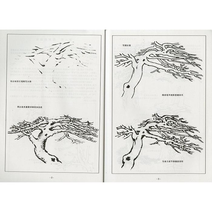 水墨画 / 水墨画集 中国画集 墨彩画 絵手紙 日本画 山水 [中国画伝統