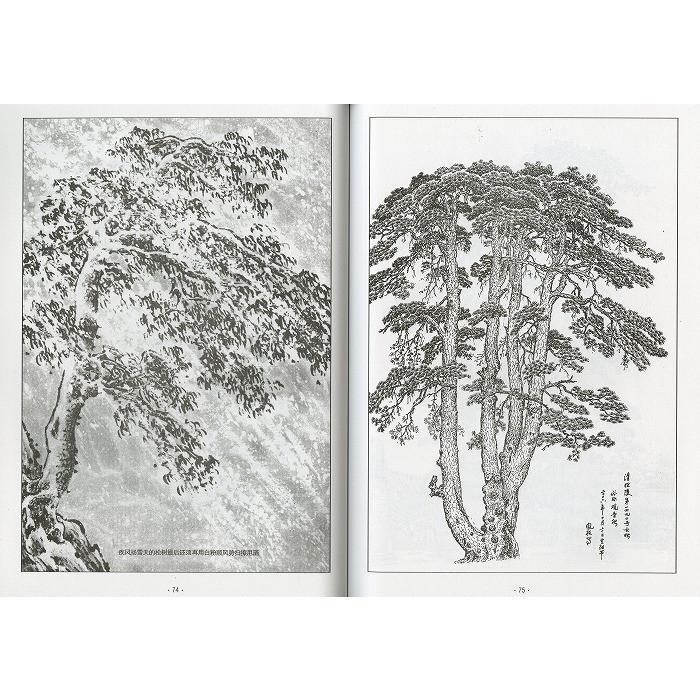 水墨画 / 水墨画集 中国画集 墨彩画 絵手紙 日本画 山水 [中国画伝統