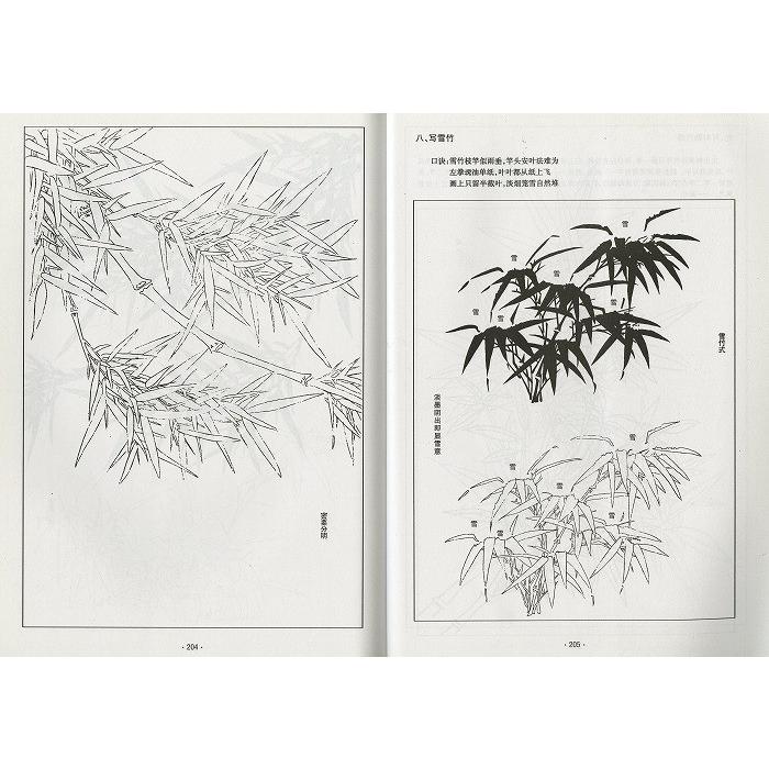水墨画 / 水墨画集 中国画集 墨彩画 絵手紙 日本画 山水 [中国画伝統