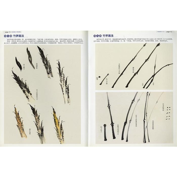 水墨画 / 水墨画集 中国画集 墨彩画 絵手紙 日本画 山水 [国画教程