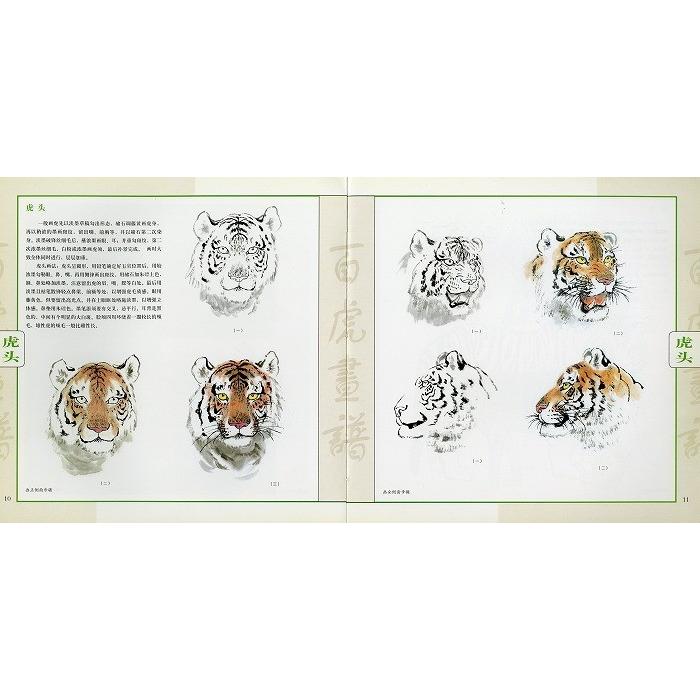 水墨画 / 水墨画集 中国画集 墨彩画 絵手紙 日本画 中国美術書