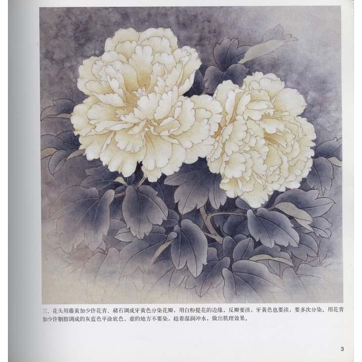 水墨画 / 水墨画集 中国画集 墨彩画 絵手紙 日本画 [工筆淡彩牡丹画法