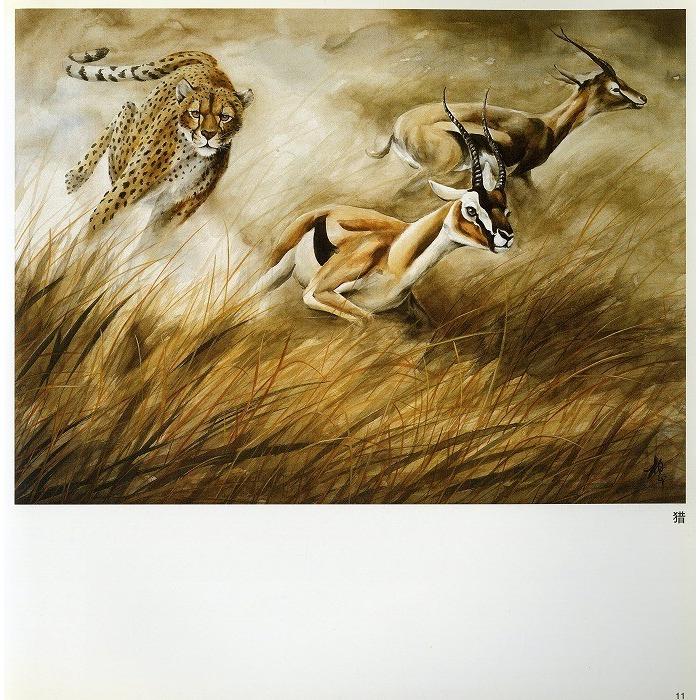 水墨画 / 水墨画集 中国画集 墨彩画 絵手紙 日本画 中国美術書