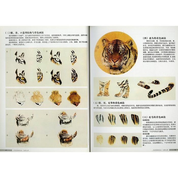 水墨画 / 水墨画集 中国画集 墨彩画 絵手紙 日本画 中国美術書