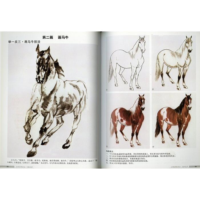 水墨画 / 水墨画集 中国画集 墨彩画 絵手紙 日本画 中国美術書