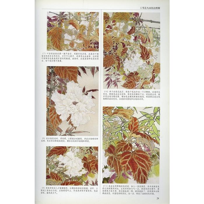 水墨画 / 水墨画集 中国画集 墨彩画 絵手紙 日本画 [莫松工筆花鳥 作品