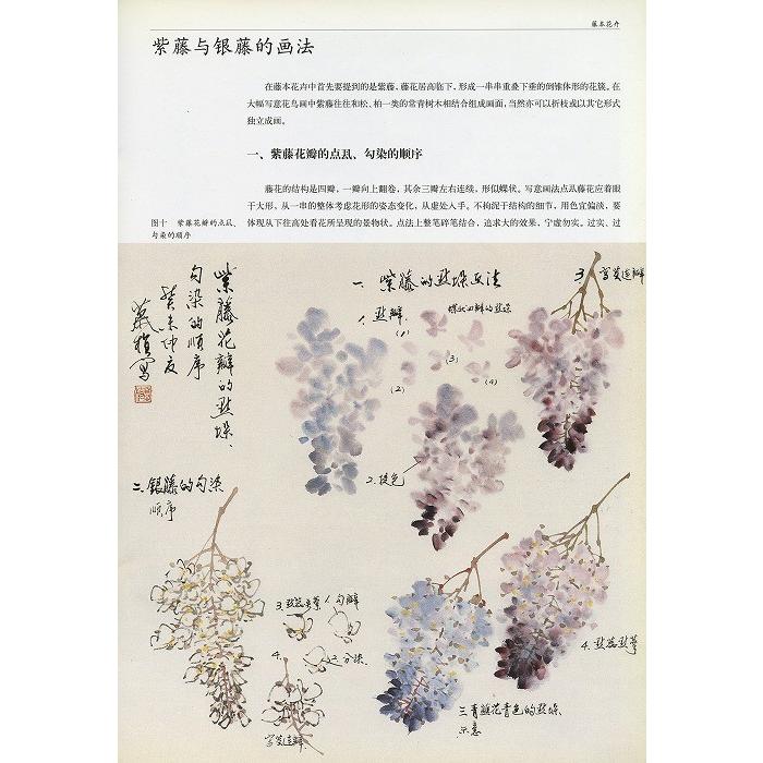 水墨画 / 水墨画集 中国画集 墨彩画 絵手紙 日本画 [老年国画大学堂