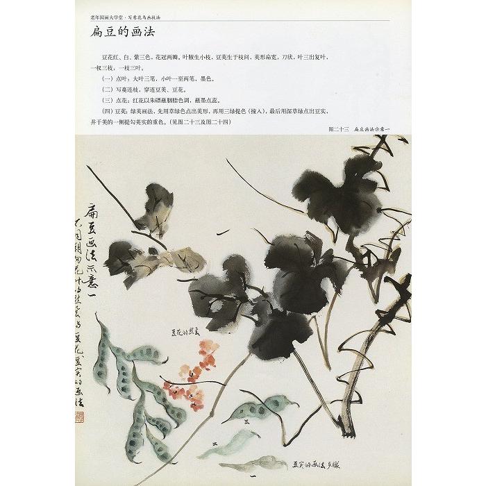 水墨画 / 水墨画集 中国画集 墨彩画 絵手紙 日本画 [老年国画大学堂