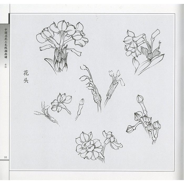 水墨画 / 水墨画集 中国画集 墨彩画 絵手紙 日本画 [水仙 中国名 水墨画 / 水墨画集 中国画集 墨彩画 絵手紙 日本画 [水仙 中国名