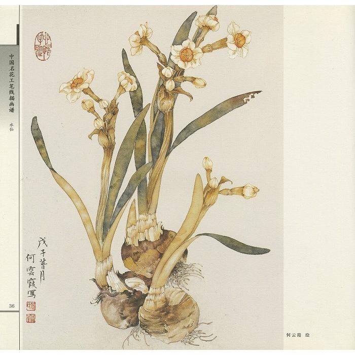 水墨画 / 水墨画集 中国画集 墨彩画 絵手紙 日本画 [水仙 中国名 水墨画 / 水墨画集 中国画集 墨彩画 絵手紙 日本画 [水仙 中国名