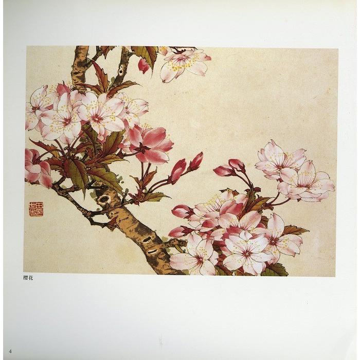 水墨画 / 水墨画集 中国画集 墨彩画 絵手紙 日本画 [百花工筆