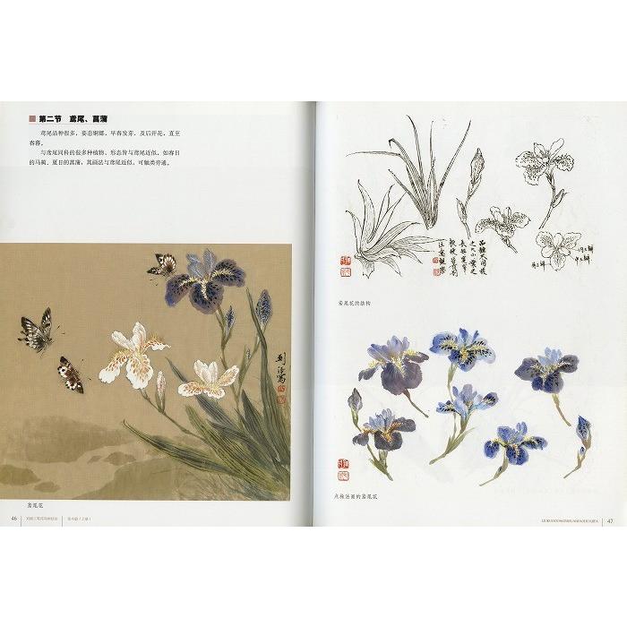 水墨画 / 水墨画集 中国画集 墨彩画 絵手紙 日本画 [劉闊工筆花鳥画